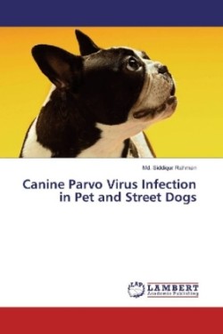 Canine Parvo Virus Infection in Pet and Street Dogs