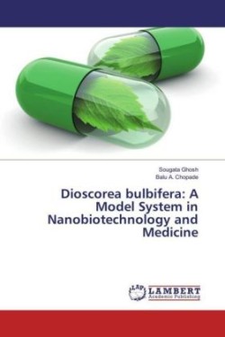 Dioscorea bulbifera: A Model System in Nanobiotechnology and Medicine