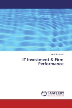 IT Investment & Firm Performance