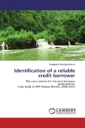 Identification of a reliable credit borrower