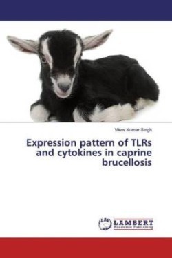 Expression pattern of TLRs and cytokines in caprine brucellosis