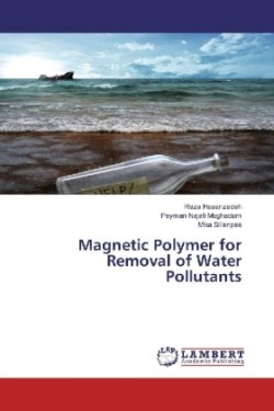 Magnetic Polymer for Removal of Water Pollutants