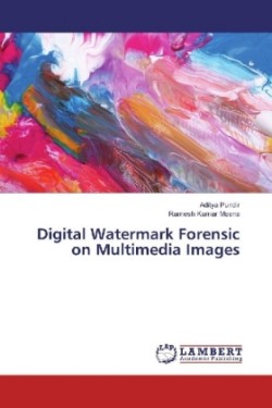 Digital Watermark Forensic on Multimedia Images