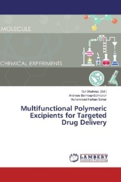 Multifunctional Polymeric Excipients for Targeted Drug Delivery