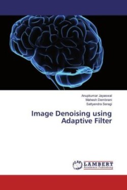 Image Denoising using Adaptive Filter