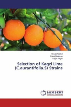 Selection of Kagzi Lime (C.aurantifolia.S) Strains