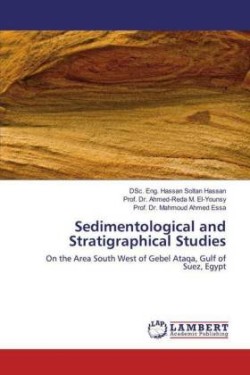 Sedimentological and Stratigraphical Studies