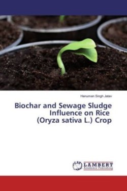 Biochar and Sewage Sludge Influence on Rice (Oryza sativa L.) Crop