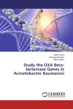 Study the OXA Beta-lactamase Genes in Acinetobacter Baumannii