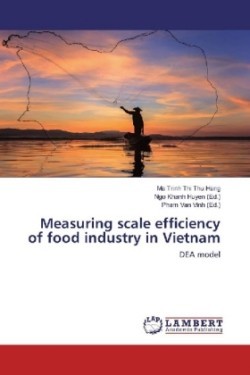 Measuring scale efficiency of food industry in Vietnam