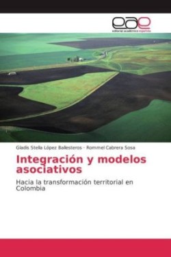 Integración y modelos asociativos