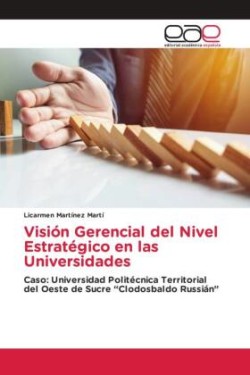 Visión Gerencial del Nivel Estratégico en las Universidades
