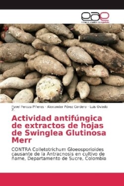 Actividad antifúngica de extractos de hojas de Swinglea Glutinosa Merr