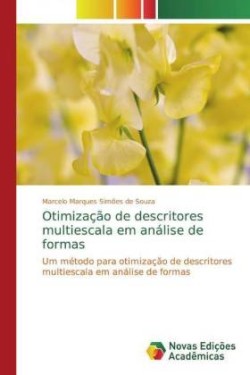 Otimização de descritores multiescala em análise de formas