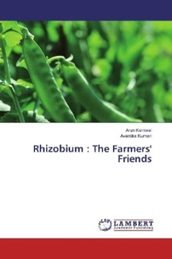 Rhizobium : The Farmers' Friends