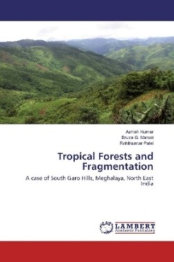 Tropical Forests and Fragmentation