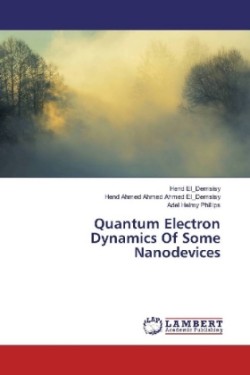 Quantum Electron Dynamics Of Some Nanodevices