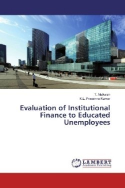 Evaluation of Institutional Finance to Educated Unemployees