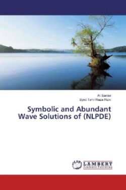 Symbolic and Abundant Wave Solutions of (NLPDE)