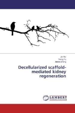 Decellularized scaffold-mediated kidney regeneration