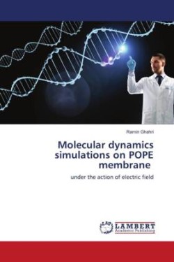 Molecular dynamics simulations on POPE membrane