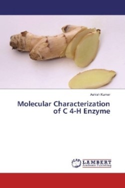 Molecular Characterization of C 4-H Enzyme