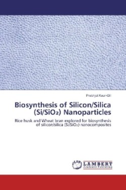 Biosynthesis of Silicon/Silica (Si/SiO ) Nanoparticles