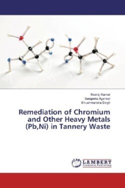 Remediation of Chromium and Other Heavy Metals (Pb,Ni) in Tannery Waste