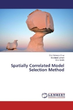 Spatially Correlated Model Selection Method