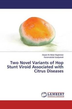 Two Novel Variants of Hop Stunt Viroid Associated with Citrus Diseases