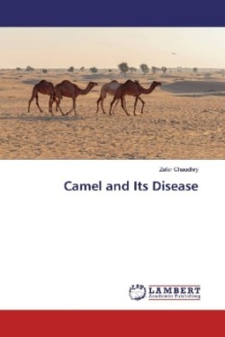 Camel and Its Disease