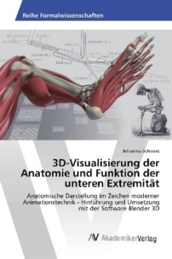 3D-Visualisierung der Anatomie und Funktion der unteren Extremität