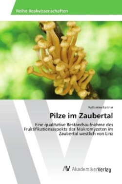 Pilze im Zaubertal