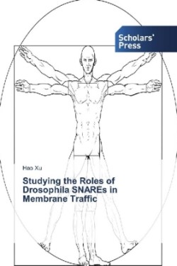 Studying the Roles of Drosophila SNAREs in Membrane Traffic