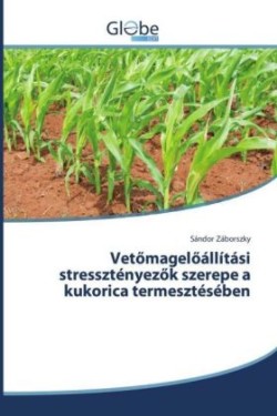 Vetömagelöállítási stressztényezök szerepe a kukorica termesztésében