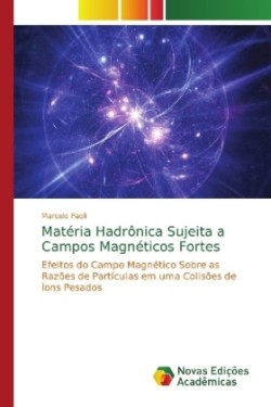 Matéria Hadrônica Sujeita a Campos Magnéticos Fortes