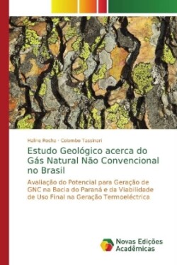 Estudo Geológico acerca do Gás Natural Não Convencional no Brasil