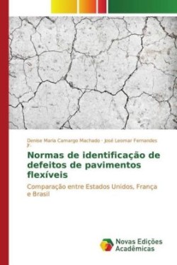 Normas de identificação de defeitos de pavimentos flexíveis