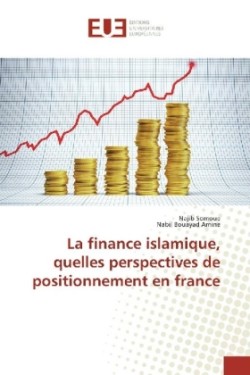 La finance islamique, quelles perspectives de positionnement en france