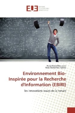 Environnement Bio-Inspirée pour la Recherche d'Information (EBIRI)