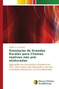 Simulação de Grandes Escalas para Chamas reativas não pré-misturadas