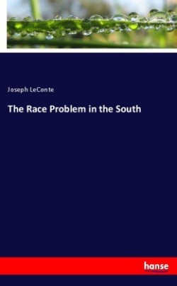 Race Problem in the South