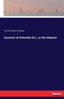 Souvenir of Asheville N.C., or the Skyland