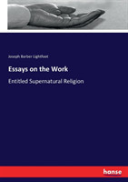 Essays on the Work