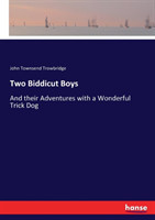 Two Biddicut Boys