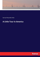 Little Tour in America