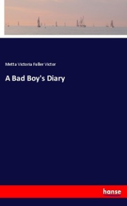 Bad Boy's Diary