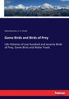 Game Birds and Birds of Prey