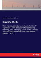Beautiful Shells