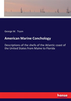 American Marine Conchology